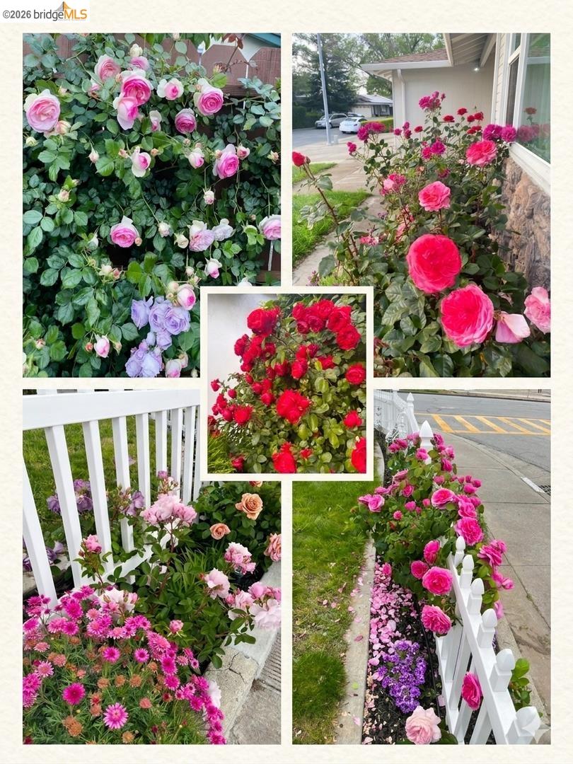 Detail Gallery Image 27 of 27 For 3264 Mackenzie Pl, Fremont,  CA 94536 - 4 Beds | 2 Baths