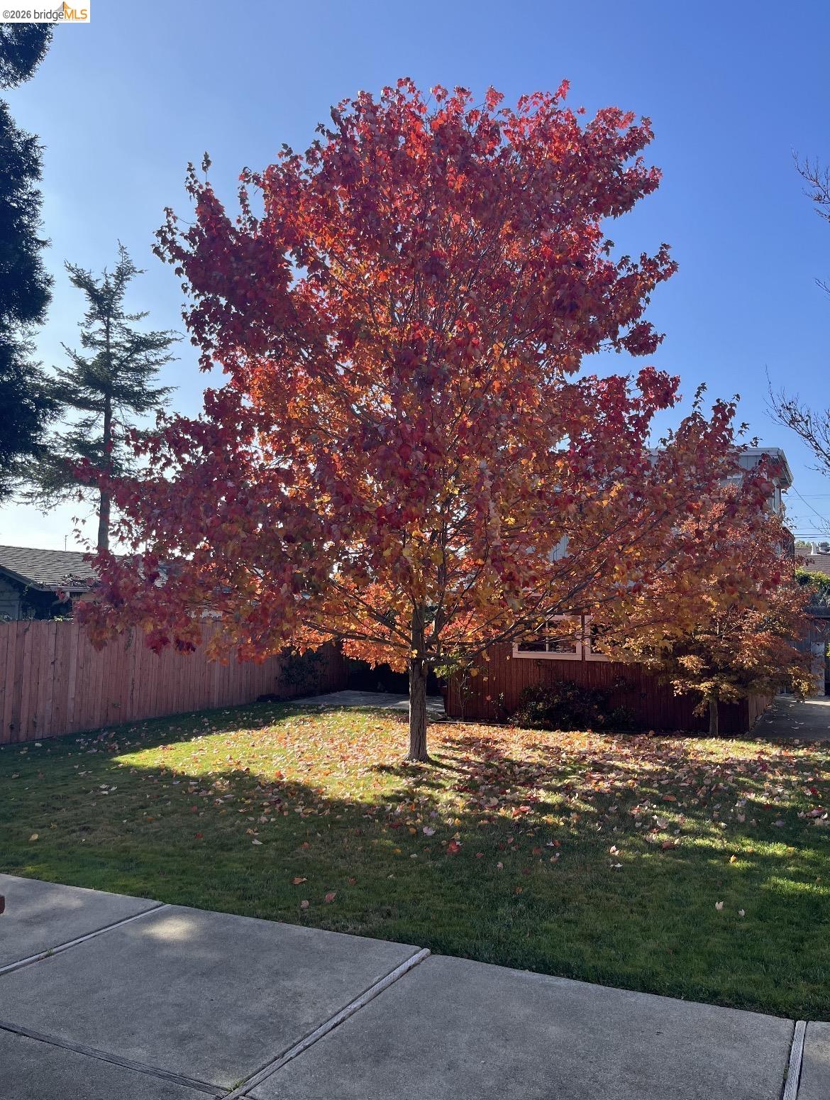 Detail Gallery Image 19 of 20 For 777 Kern St, Richmond,  CA 94805 - 2 Beds | 1 Baths