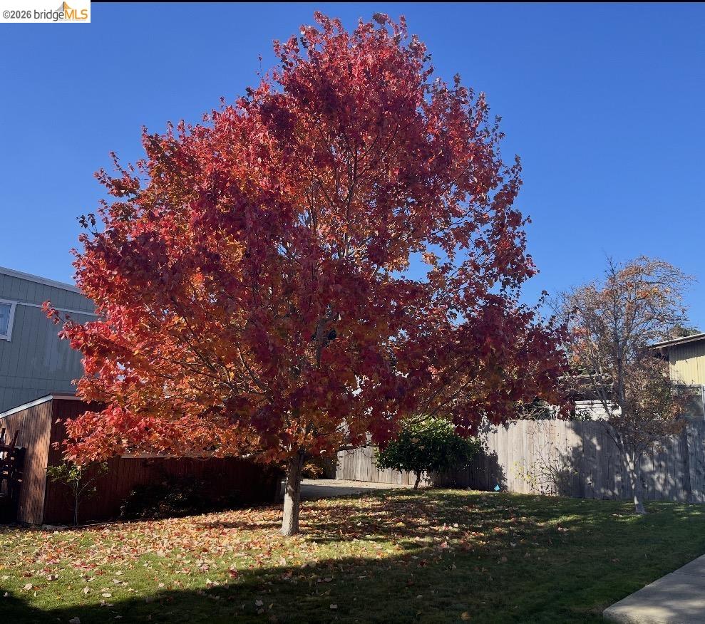 Detail Gallery Image 20 of 20 For 777 Kern St, Richmond,  CA 94805 - 2 Beds | 1 Baths