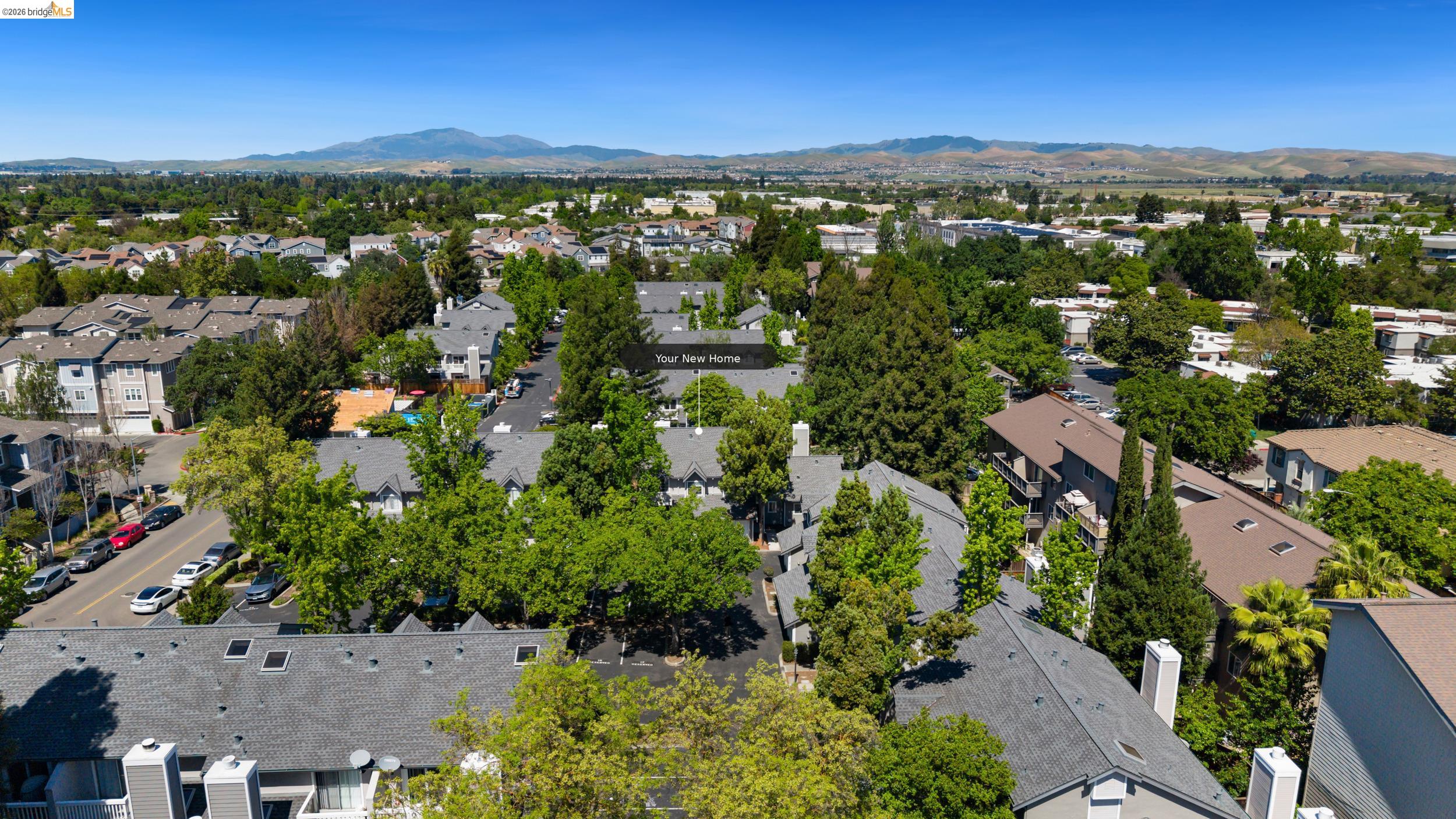 Photo #37: 41129375 Listing: Photo #37