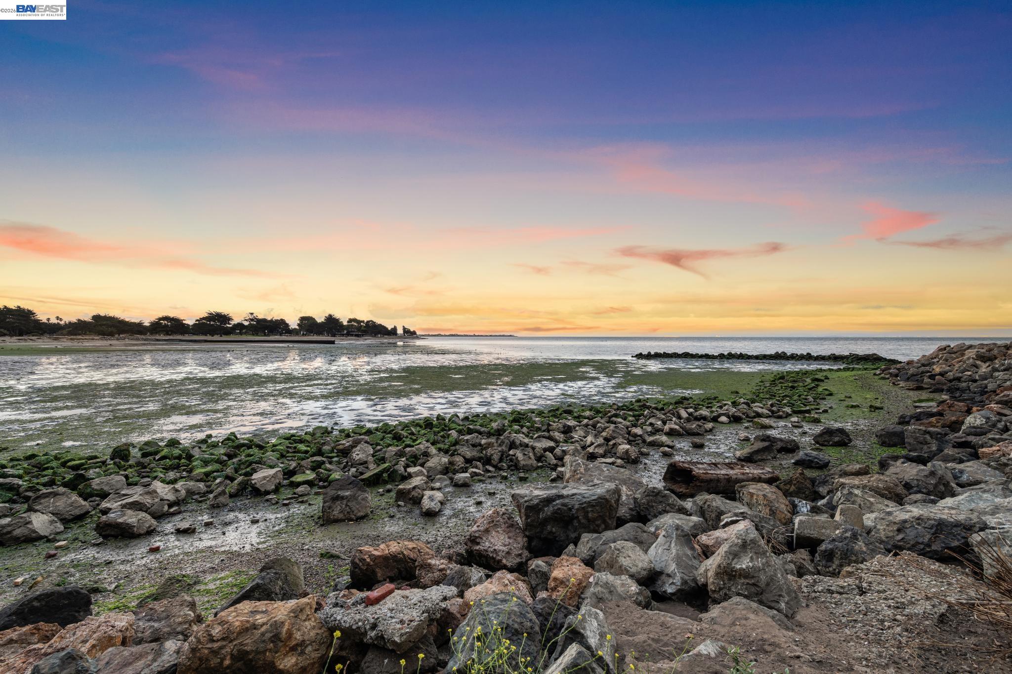 Photo #30: 41129385 Listing: Photo #30