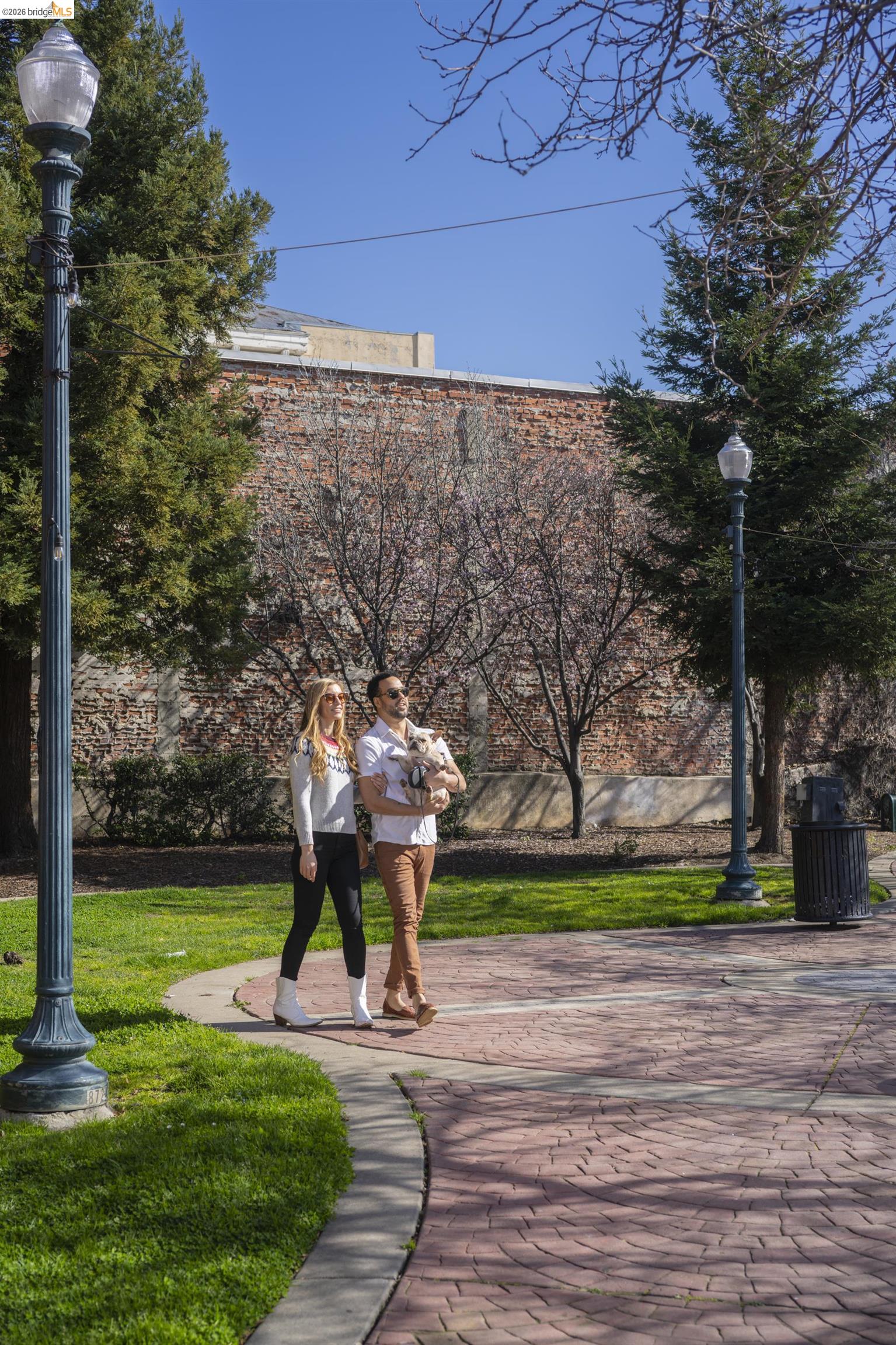 Photo #31: 41129397 Listing: Photo #31