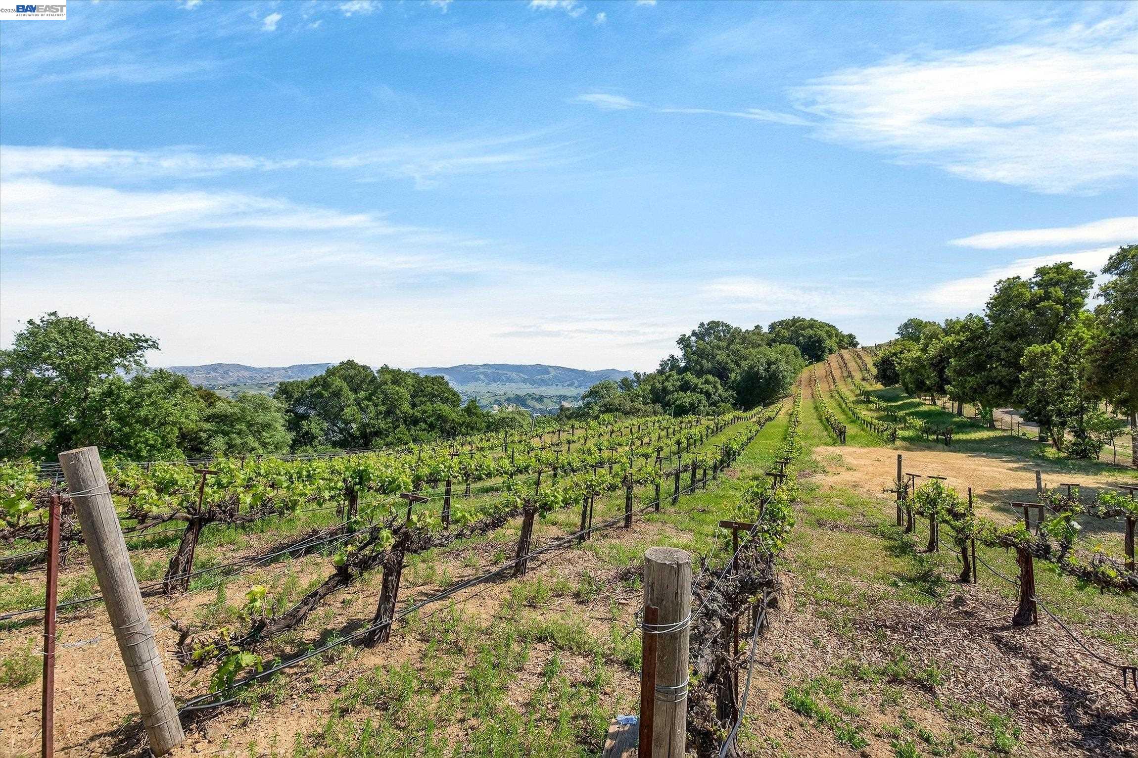 Detail Gallery Image 53 of 59 For 9500 Santos Ranch Rd, Pleasanton,  CA 94588 - 5 Beds | 6/1 Baths