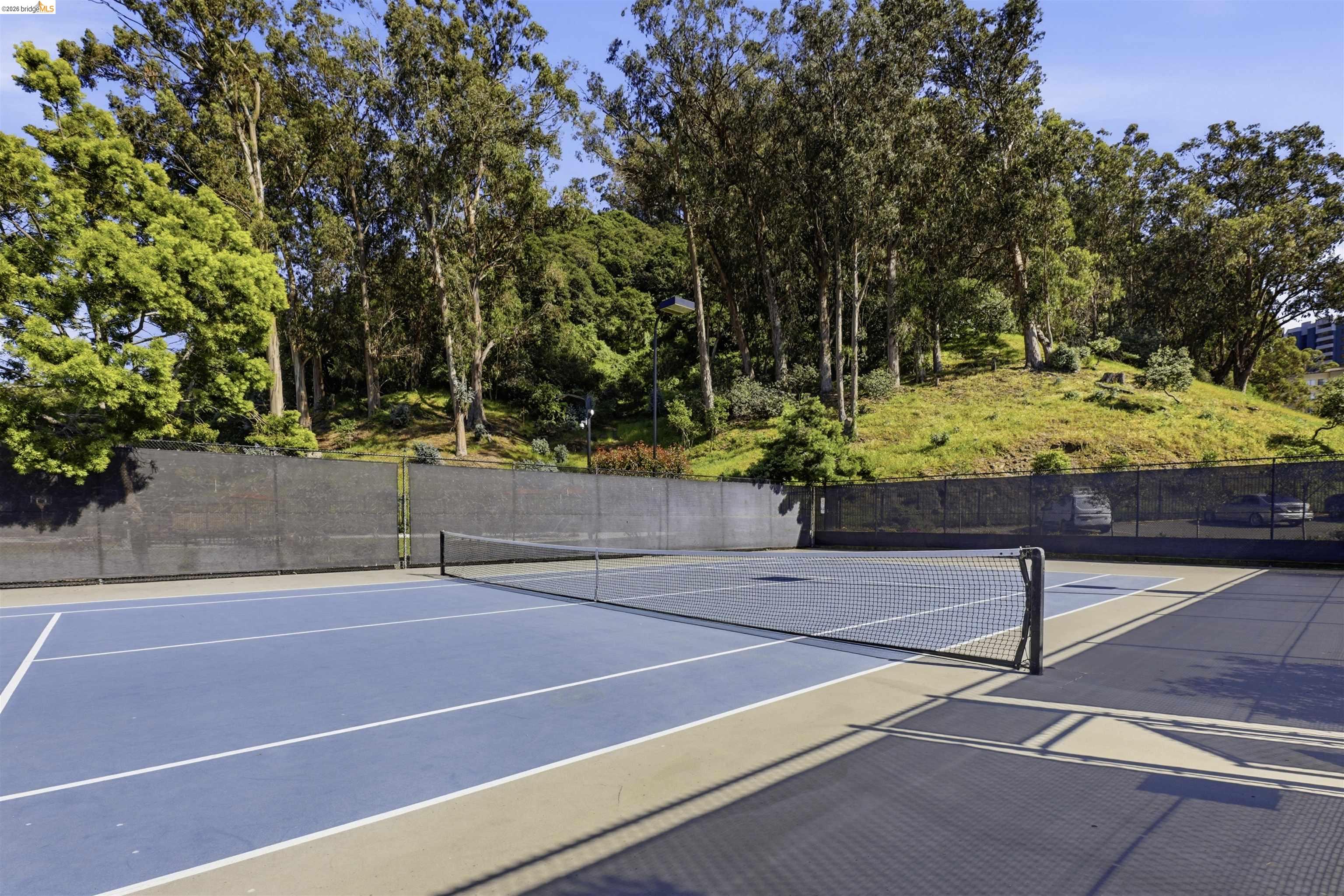 Photo #35: 41129414 Listing: Photo #35