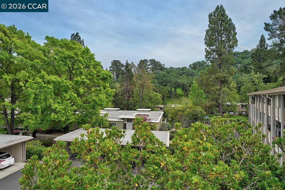 Photo #13: 41129419 Listing: Photo #13