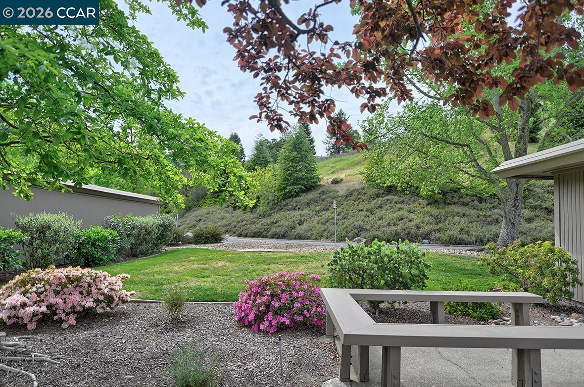 Photo #35: 41129419 Listing: Photo #35