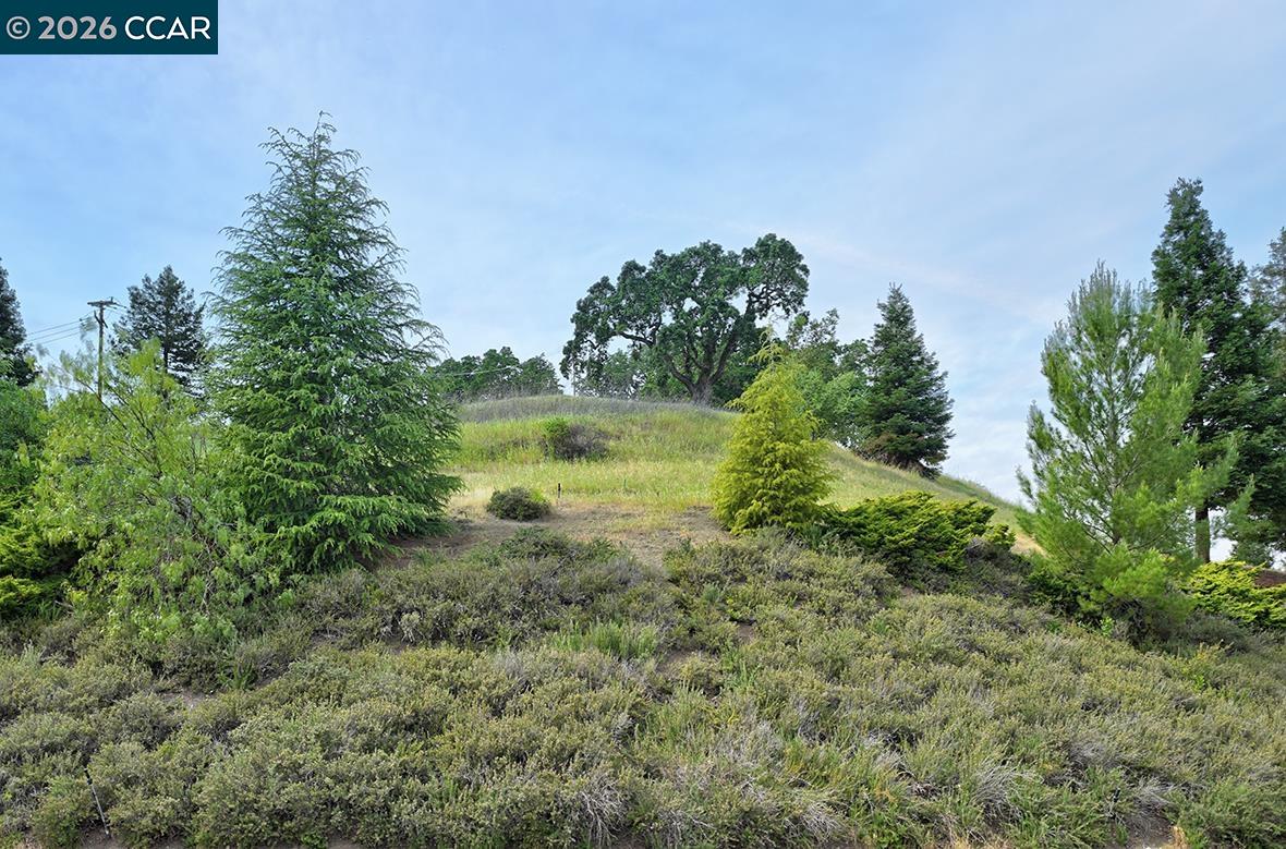 1301 Leisure Ln UNIT 7, Walnut Creek, CA, 94595