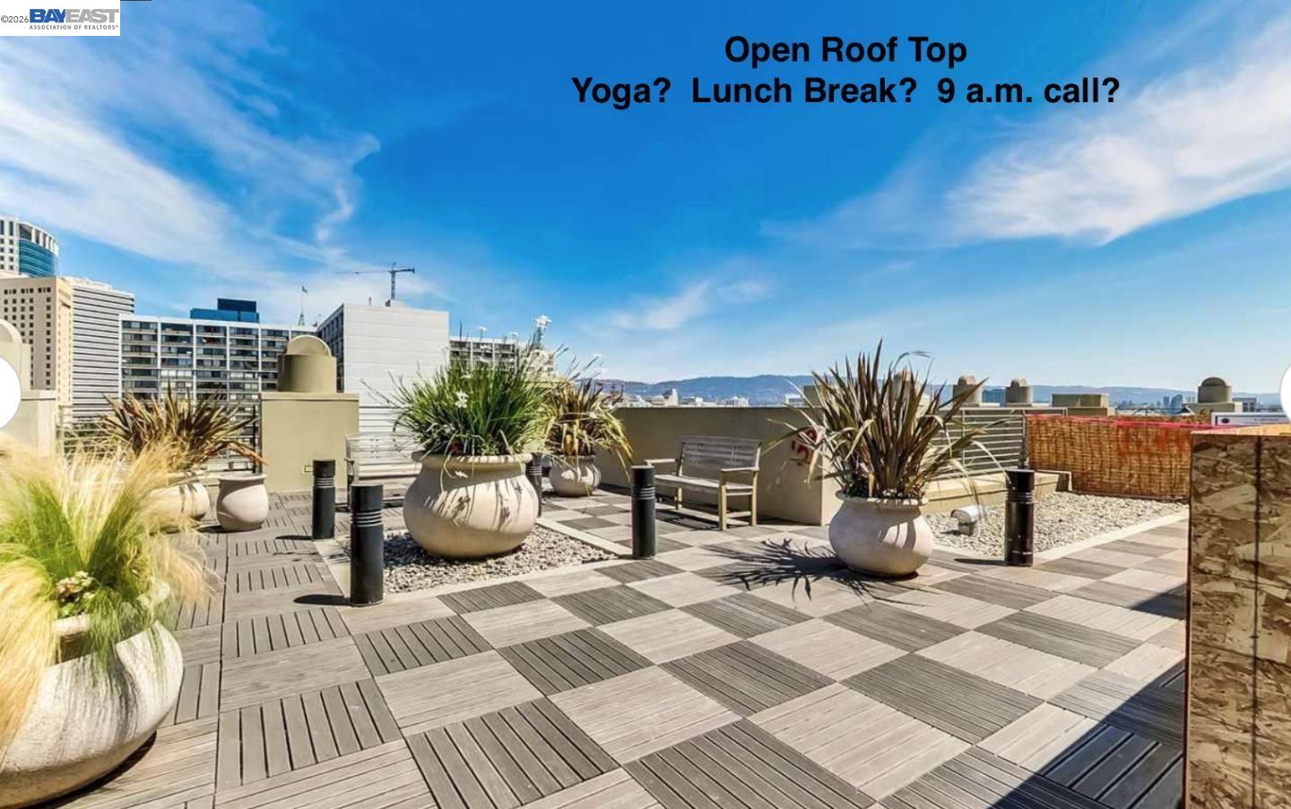 Photo #12: 41129446 Listing: Photo #12