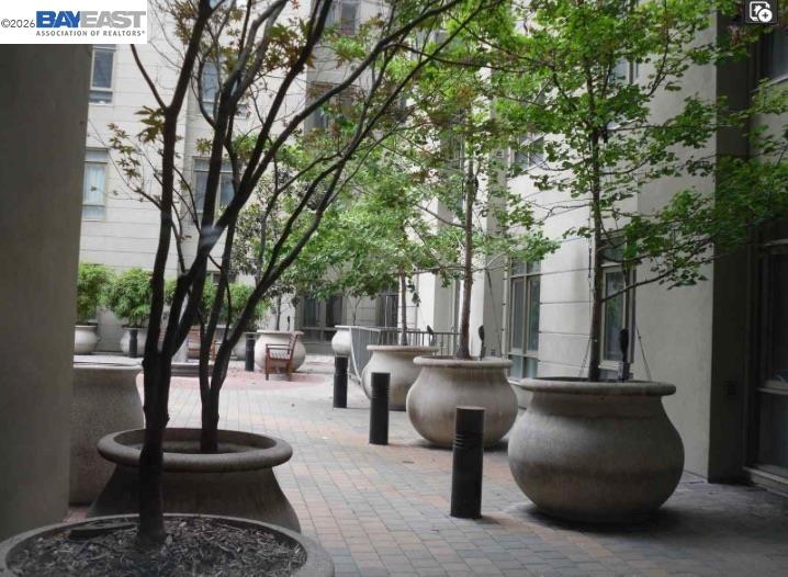 Photo #13: 41129446 Listing: Photo #13