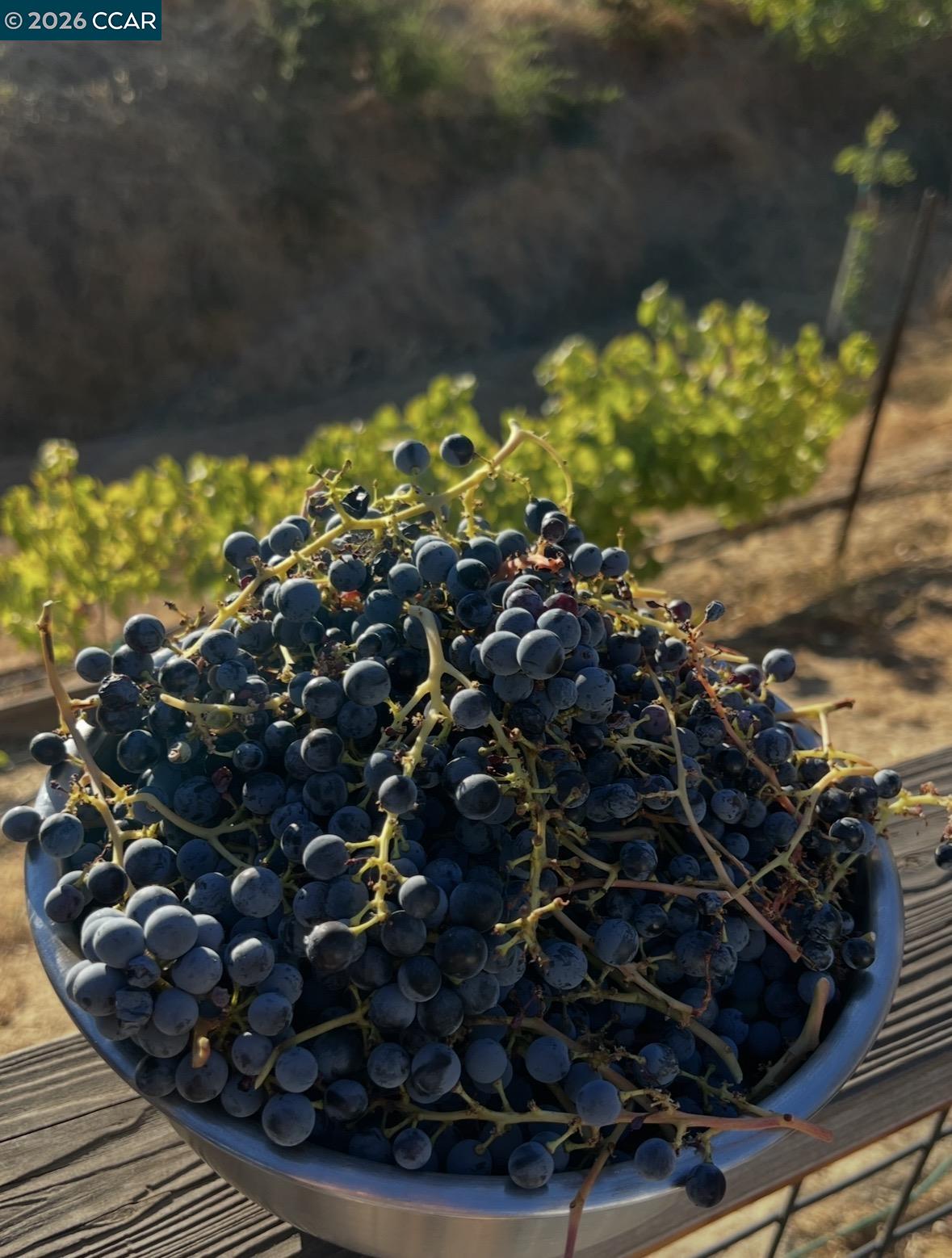 Detail Gallery Image 41 of 41 For 285 Apollo Way, Pleasant Hill,  CA 94523 - 3 Beds | 2/1 Baths