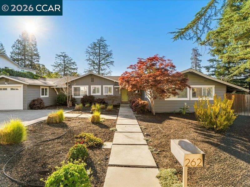 Front Image Thumbnail for CC41129453