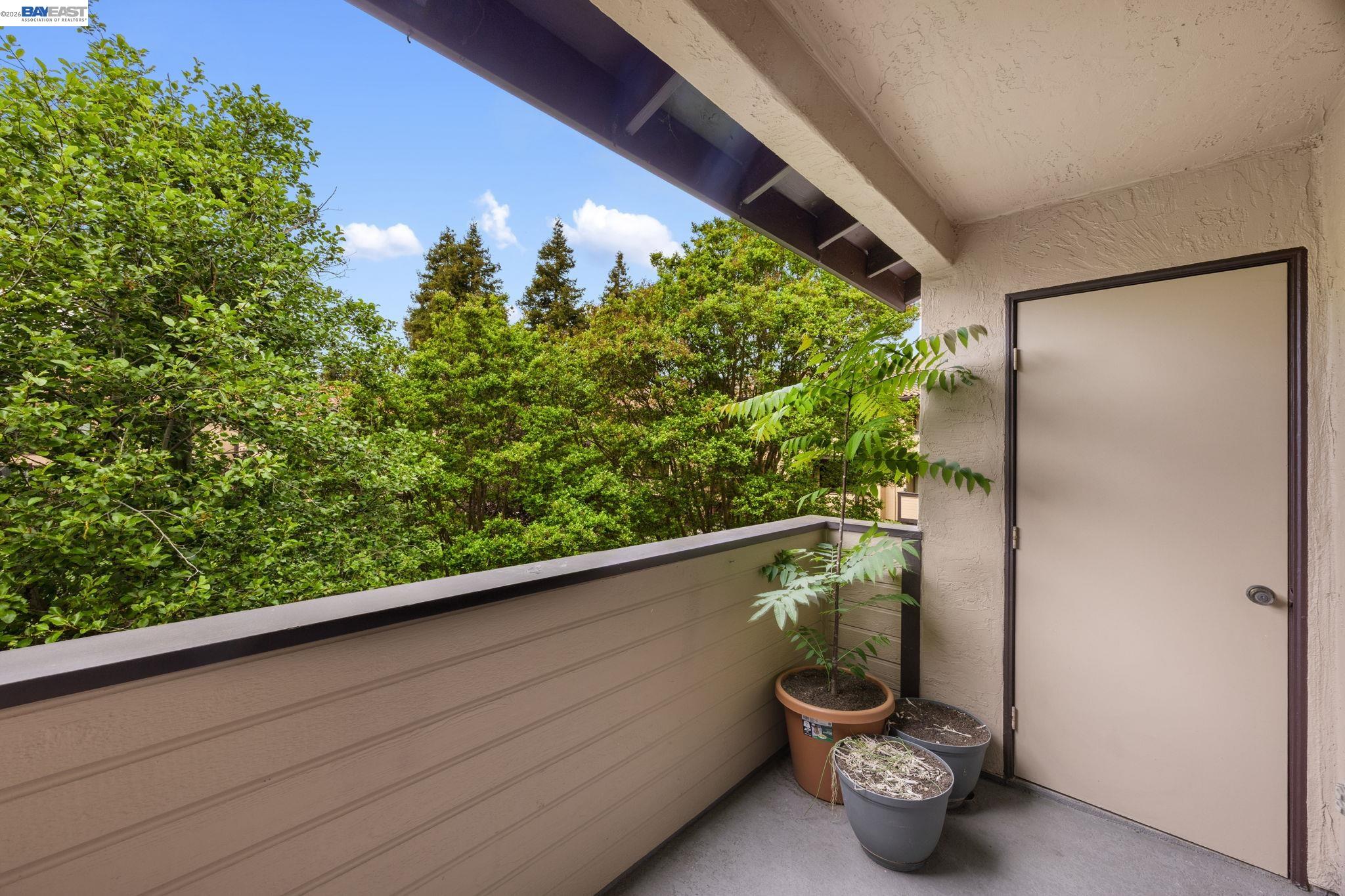 Photo #19: 41129459 Listing: Photo #19