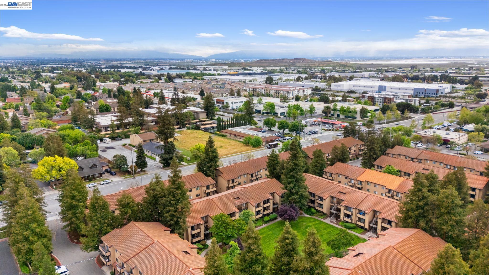 Photo #29: 41129459 Listing: Photo #29