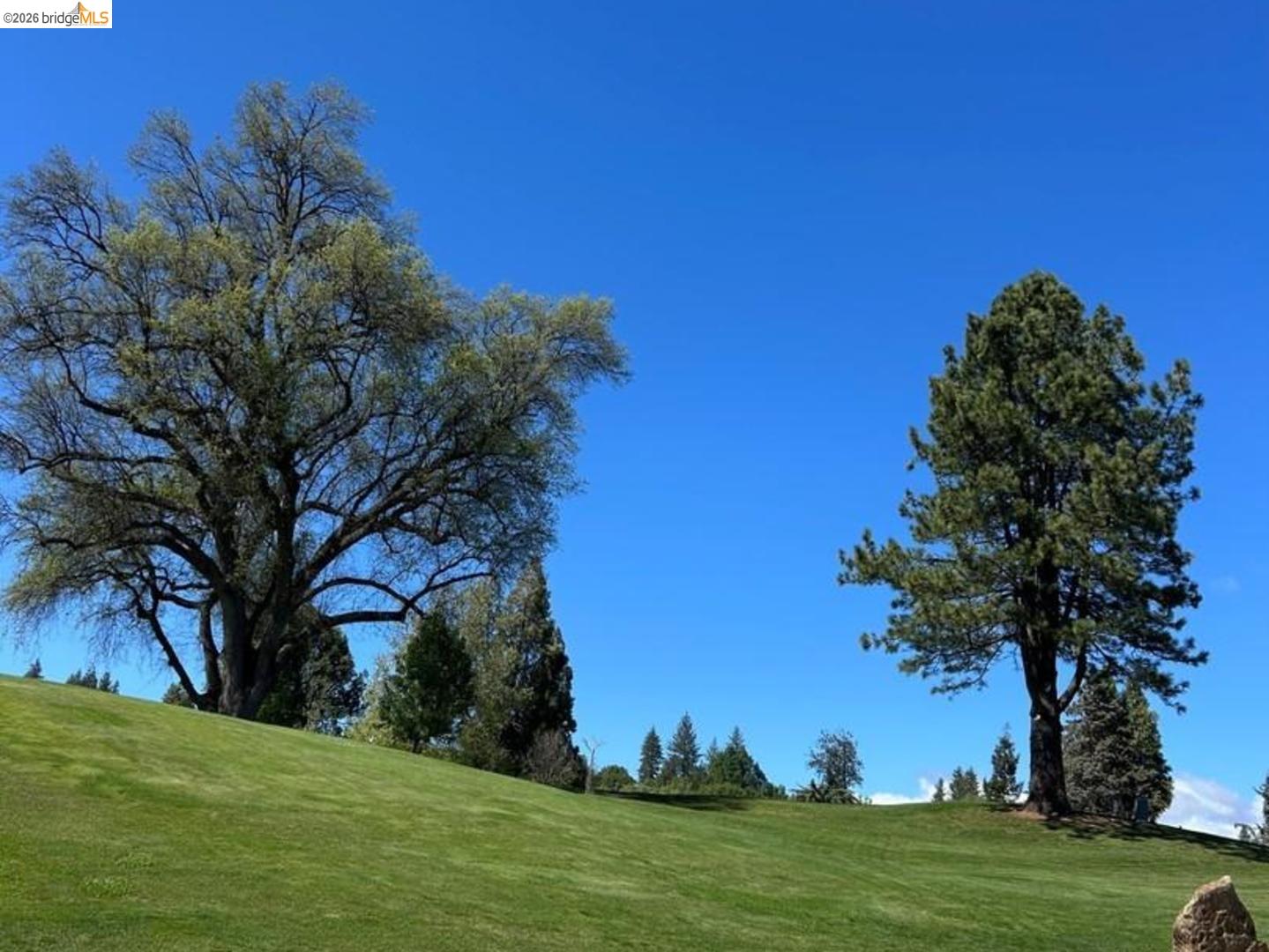 Detail Gallery Image 17 of 28 For 12570 Mount Jefferson St, Groveland,  CA 95321 - 4 Beds | 3 Baths