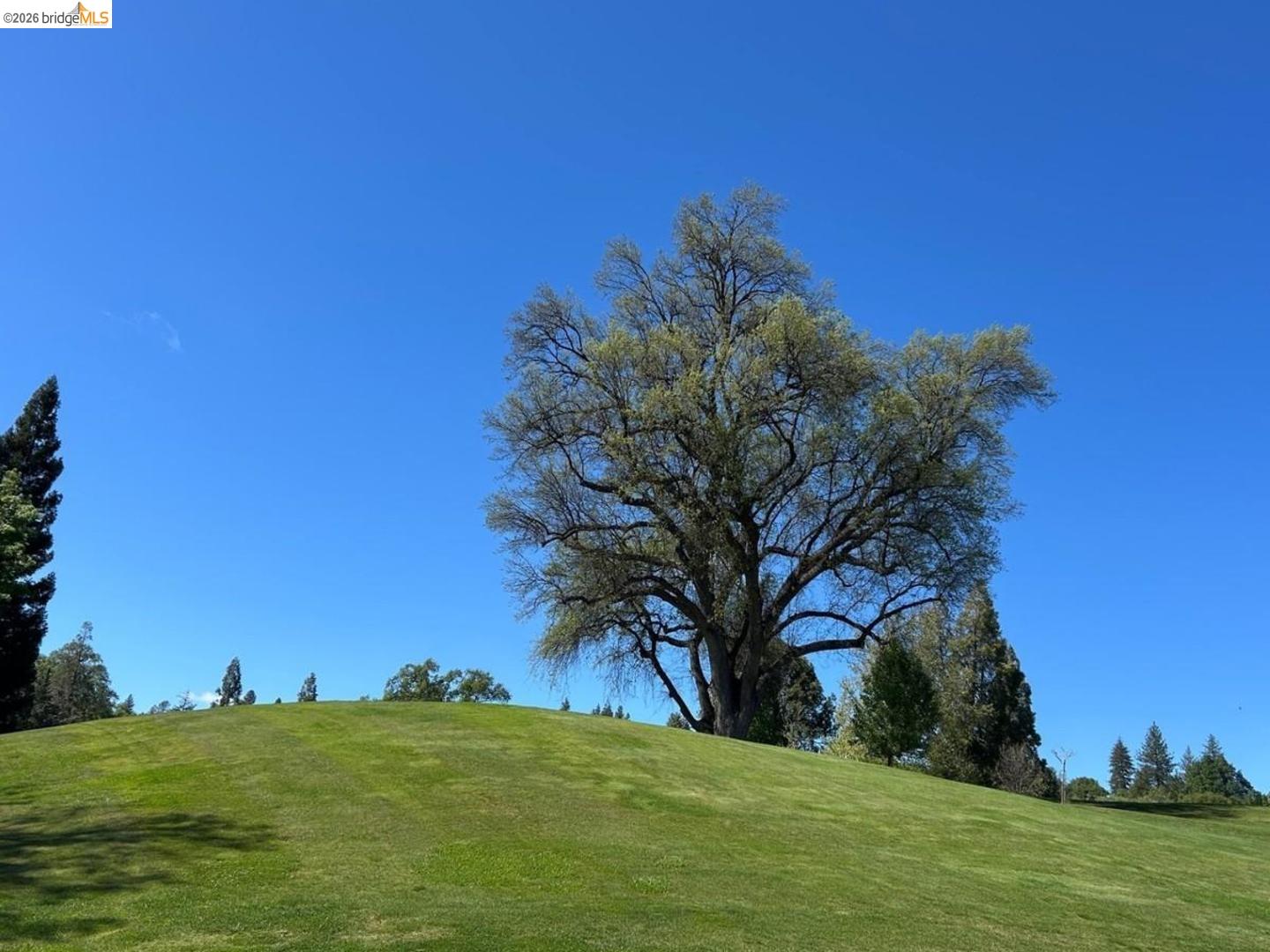 Detail Gallery Image 19 of 28 For 12570 Mount Jefferson St, Groveland,  CA 95321 - 4 Beds | 3 Baths