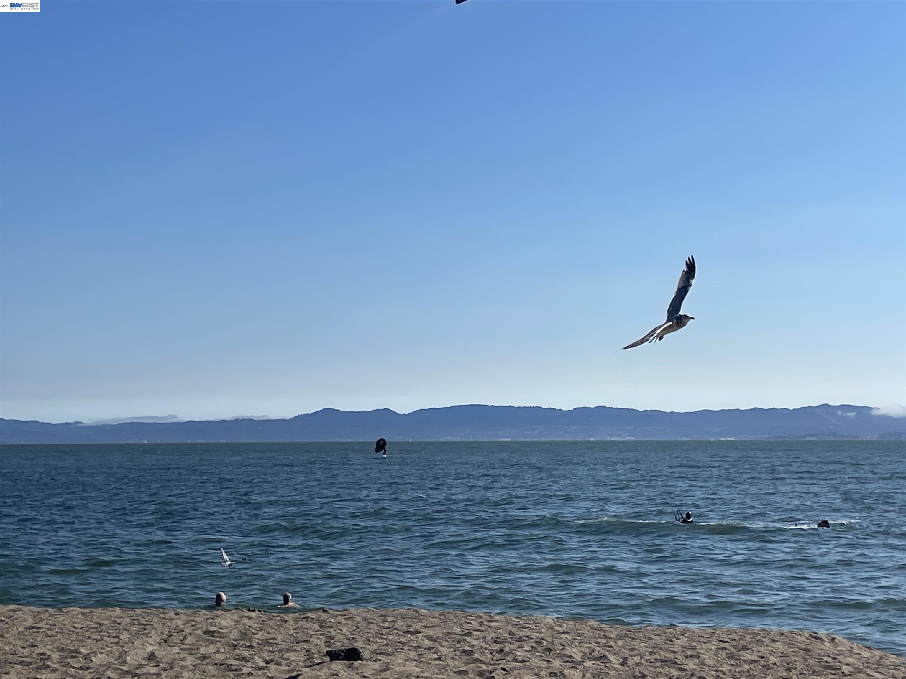 Photo #32: 41129491 Listing: Photo #32