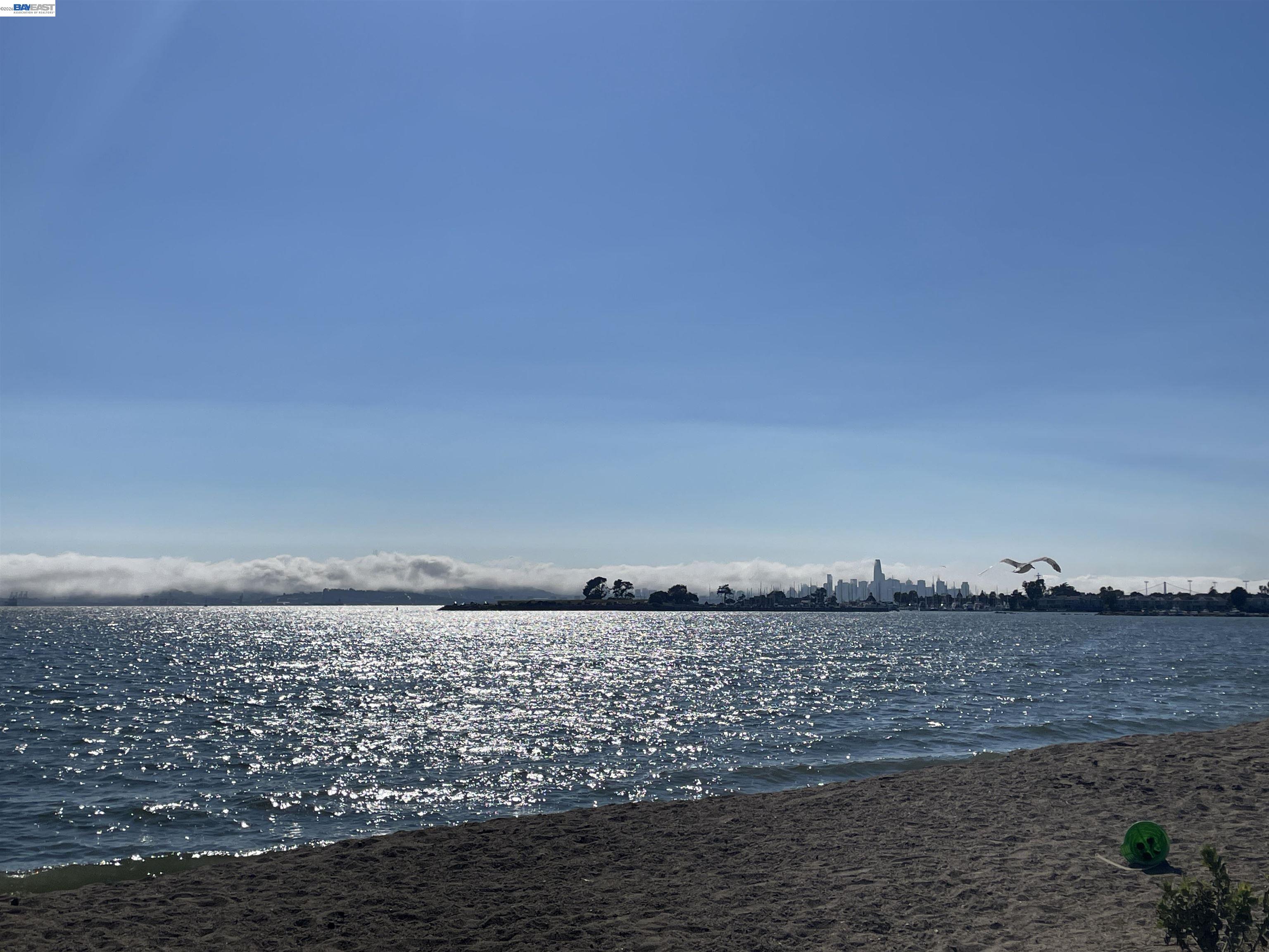 Photo #33: 41129491 Listing: Photo #33