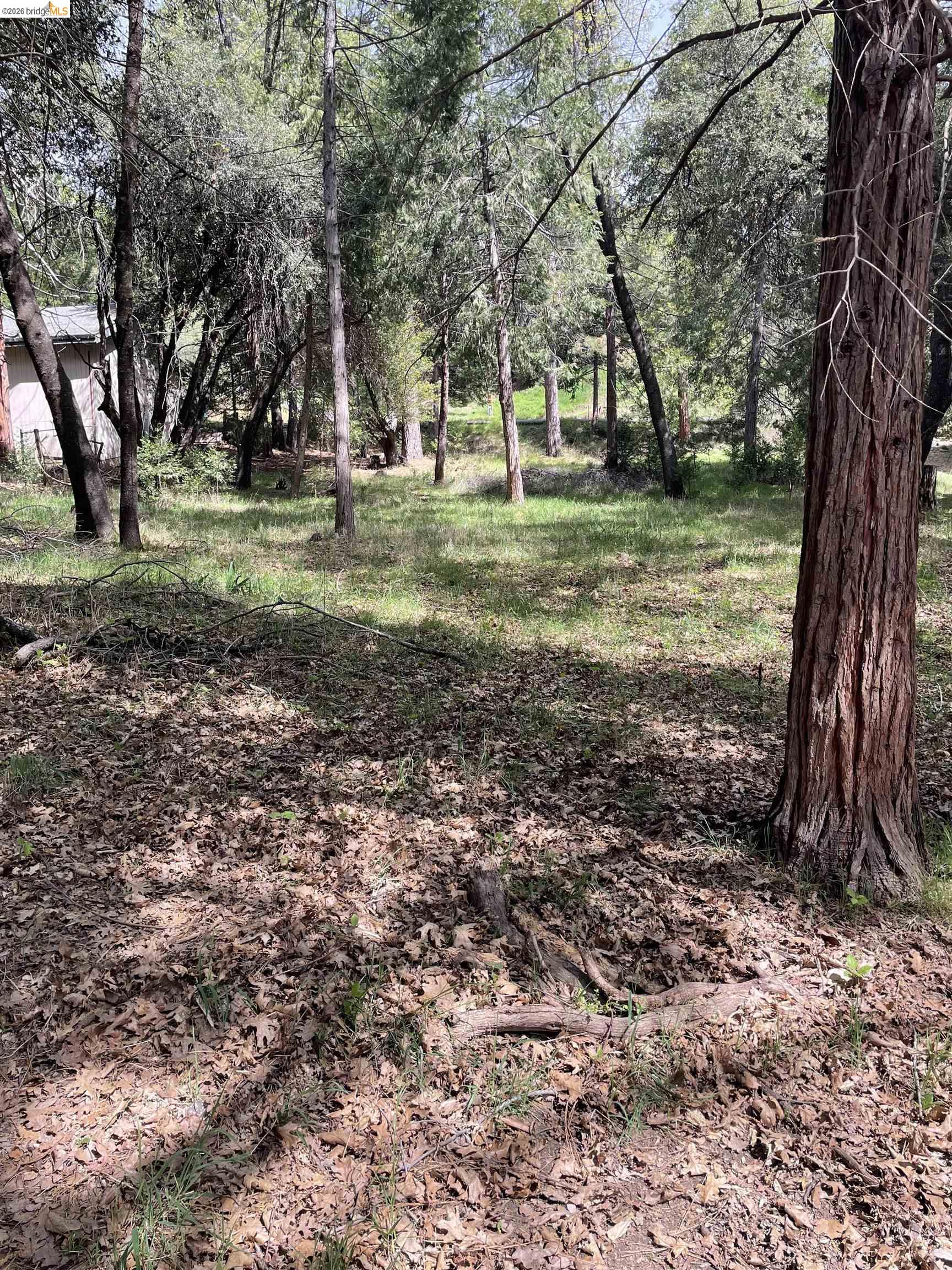 Front Image Thumbnail for EB41129494