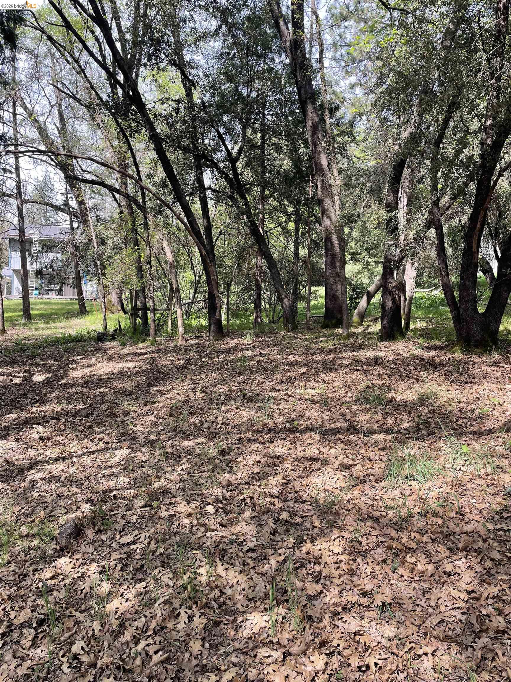 Detail Gallery Image 2 of 5 For 16594 Creekside Dr, Sonora,  CA 95370 - – Beds | – Baths