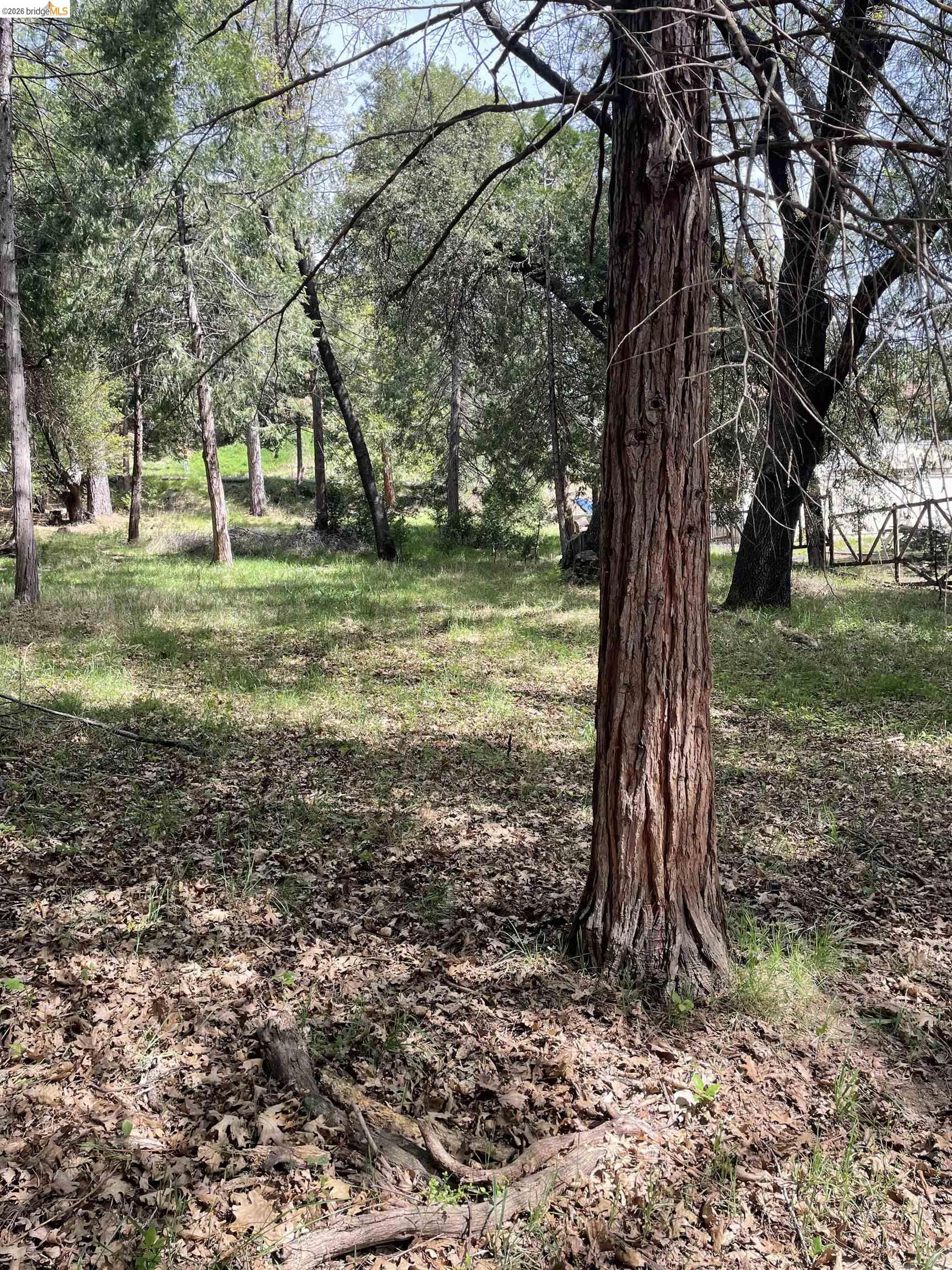 Detail Gallery Image 3 of 5 For 16594 Creekside Dr, Sonora,  CA 95370 - – Beds | – Baths