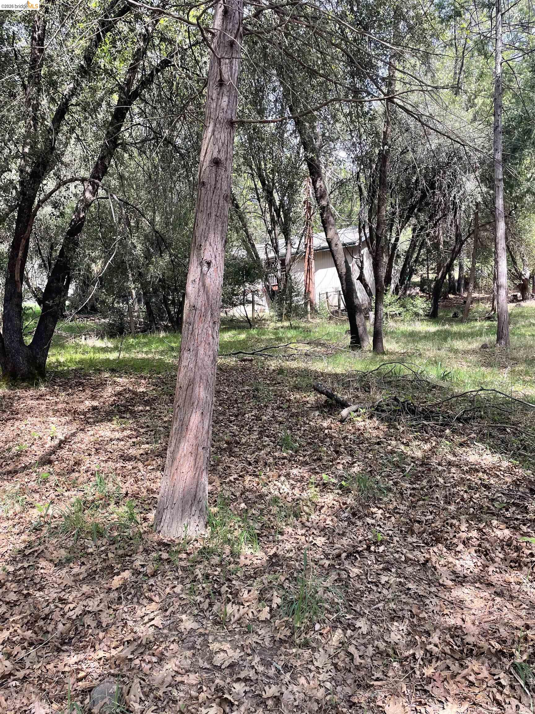 Detail Gallery Image 4 of 5 For 16594 Creekside Dr, Sonora,  CA 95370 - – Beds | – Baths