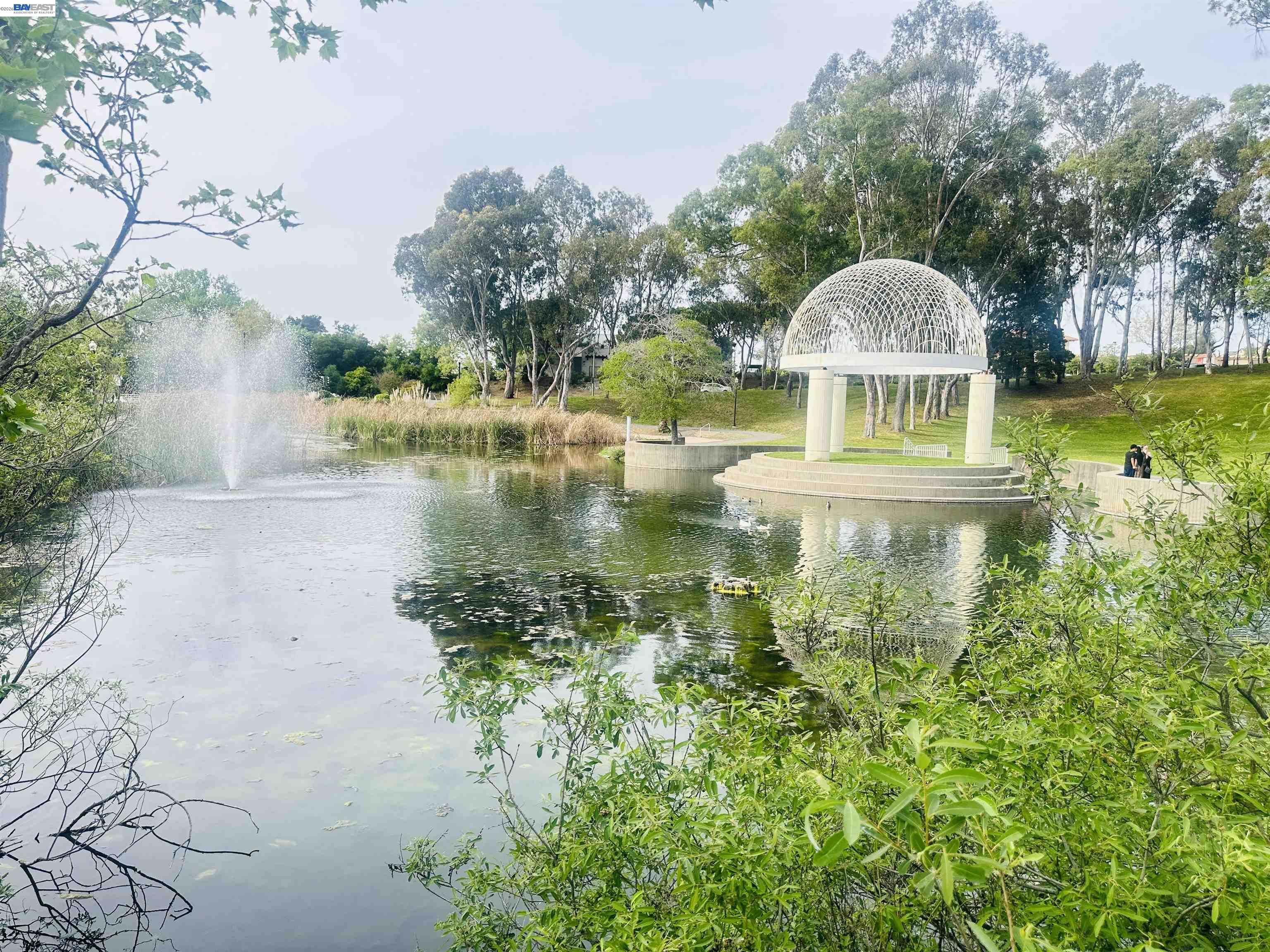 Photo #38: 41129519 Listing: Photo #38