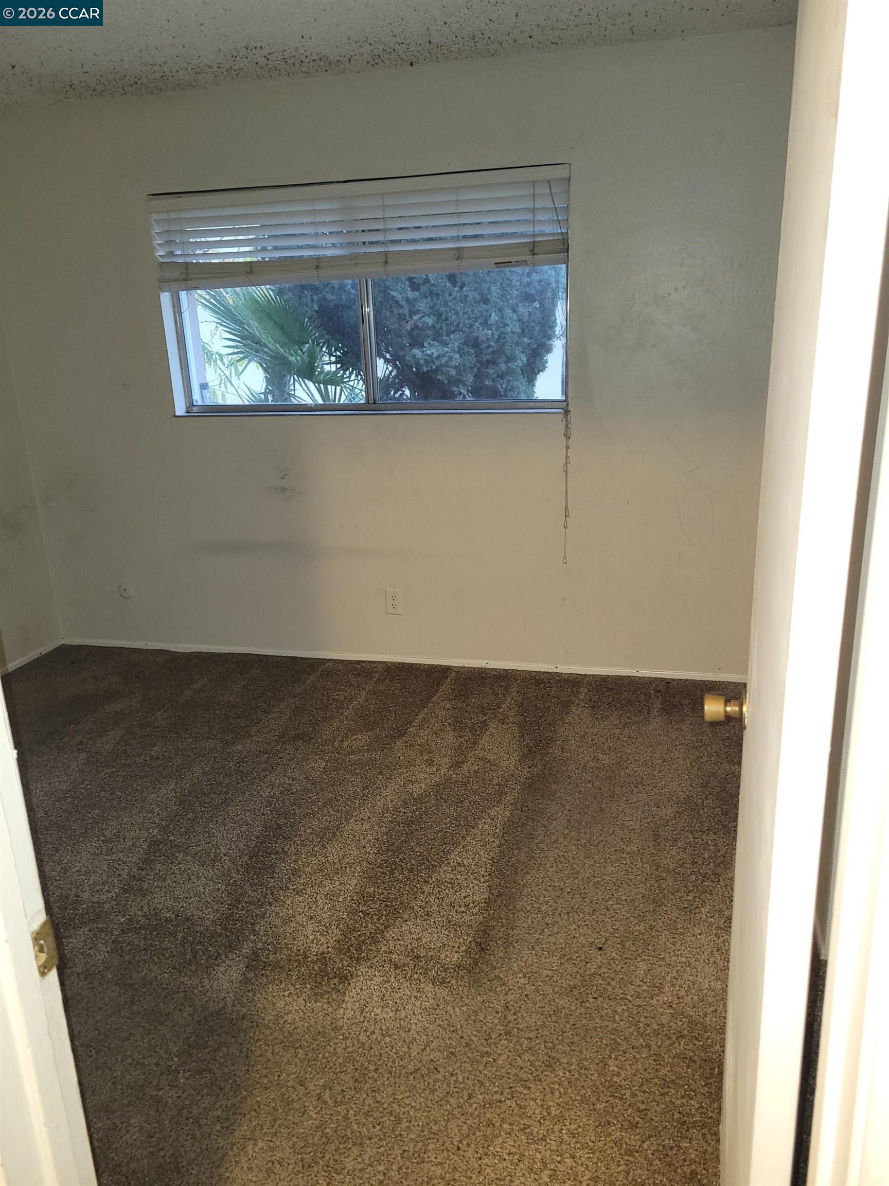 Photo #5: 41129520 Listing: Photo #5