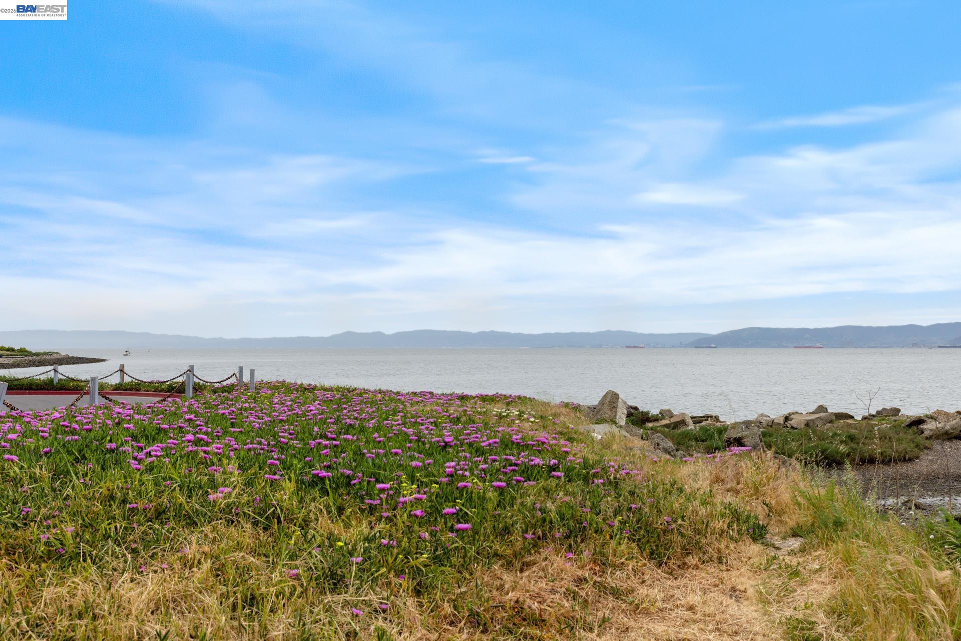 Photo #52: 41129537 Listing: Photo #52