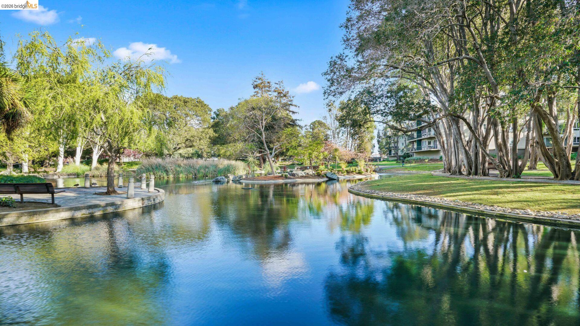 Detail Gallery Image 24 of 32 For 802 N Delaware St Apt 202,  San Mateo,  CA 94401 - 1 Beds | 1 Baths