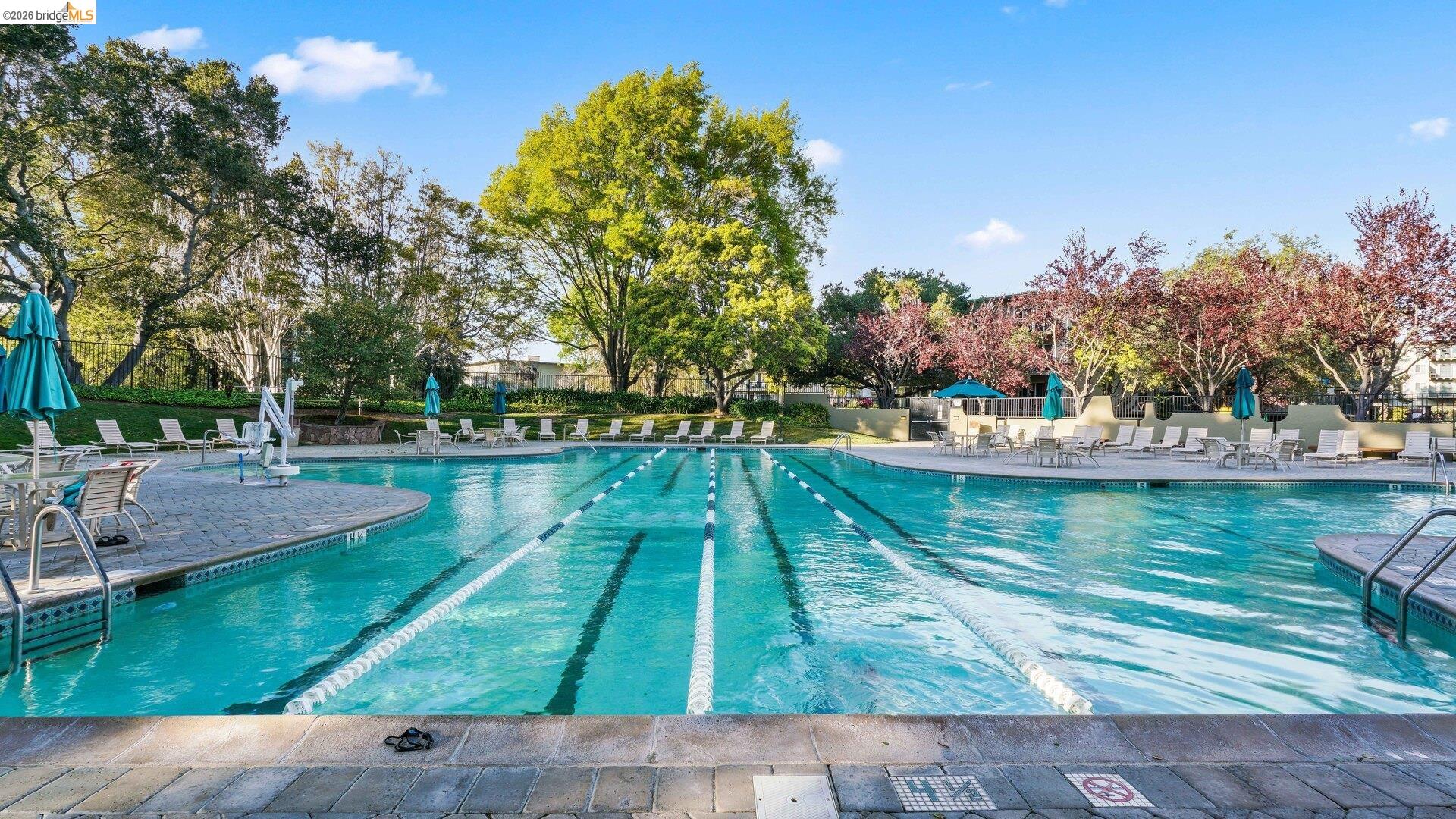 Detail Gallery Image 26 of 32 For 802 N Delaware St Apt 202,  San Mateo,  CA 94401 - 1 Beds | 1 Baths