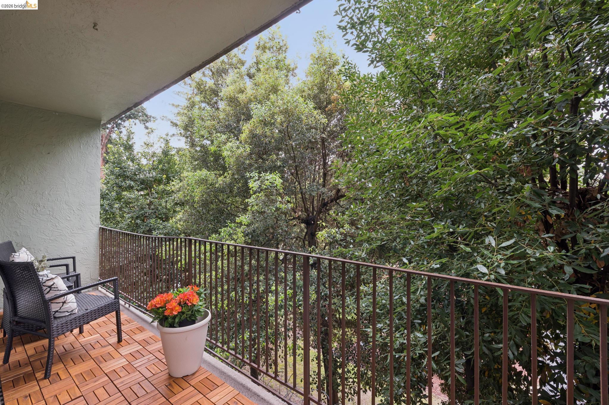 Photo #35: 41129546 Listing: Photo #35