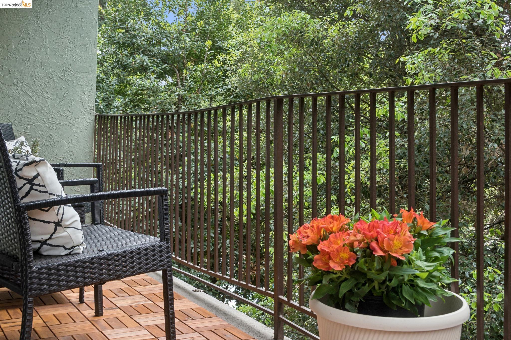 Photo #37: 41129546 Listing: Photo #37