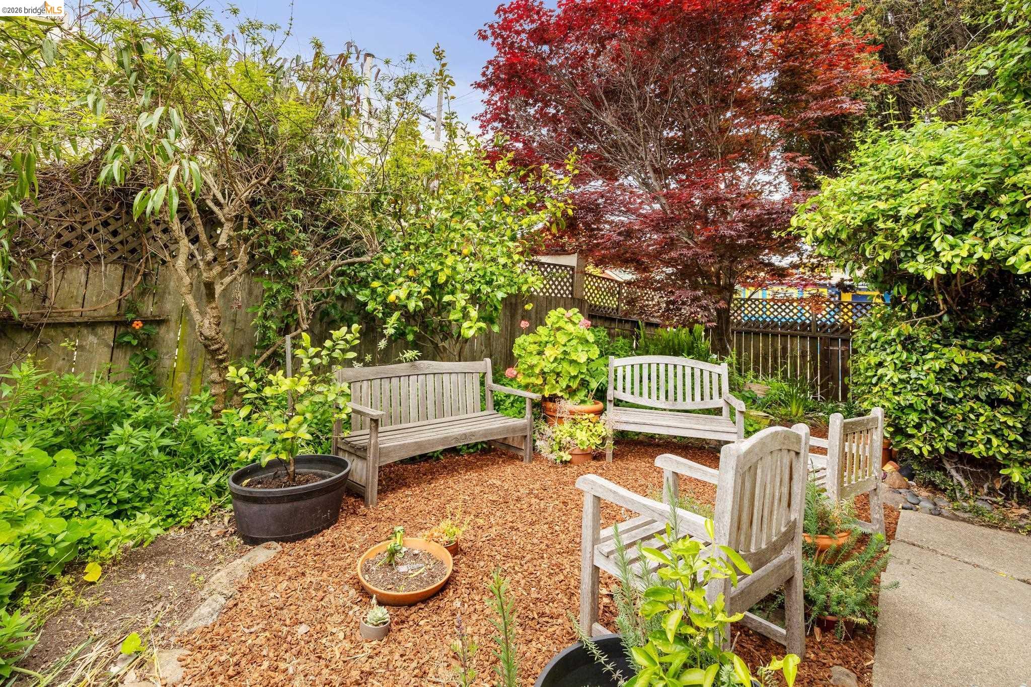 Detail Gallery Image 52 of 54 For 1718 Bancroft Way, Berkeley,  CA 94703 - – Beds | – Baths