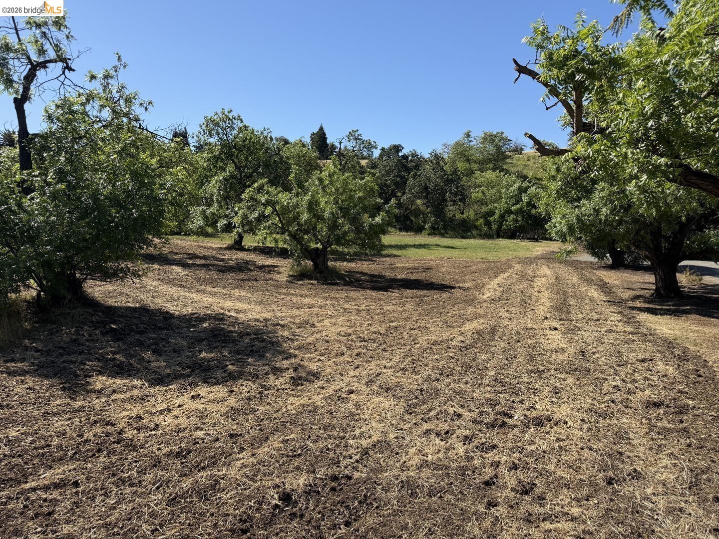 Detail Gallery Image 7 of 13 For 0 Cowell Rd, Concord,  CA 94518 - – Beds | – Baths