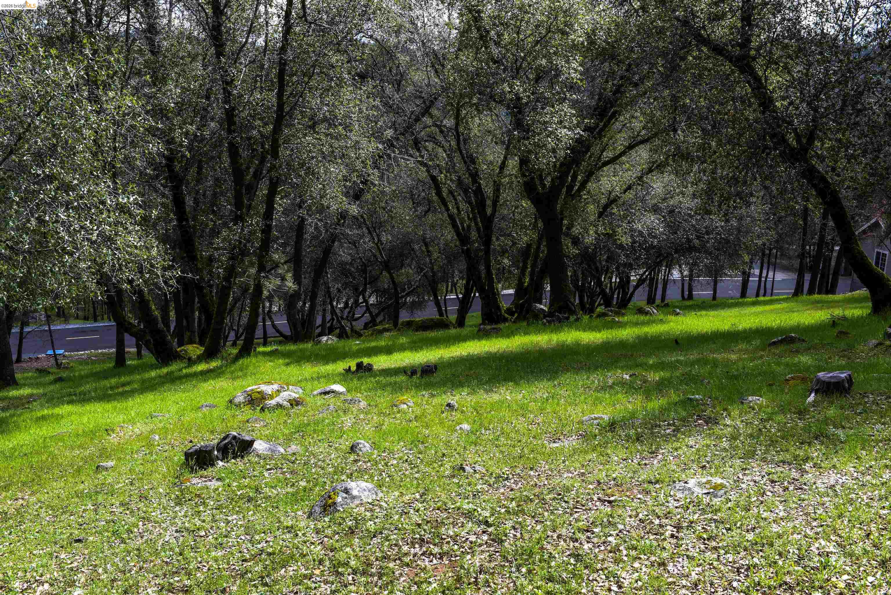 Detail Gallery Image 2 of 15 For 19077 Apple Valley Dr., Sonora,  CA 95370 - – Beds | – Baths