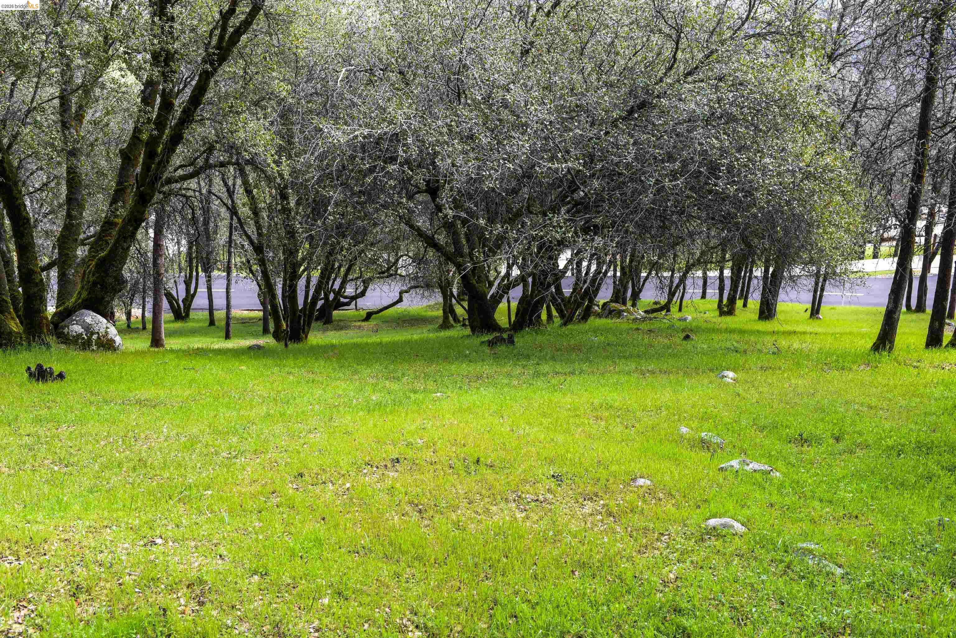 Detail Gallery Image 12 of 15 For 19077 Apple Valley Dr., Sonora,  CA 95370 - – Beds | – Baths