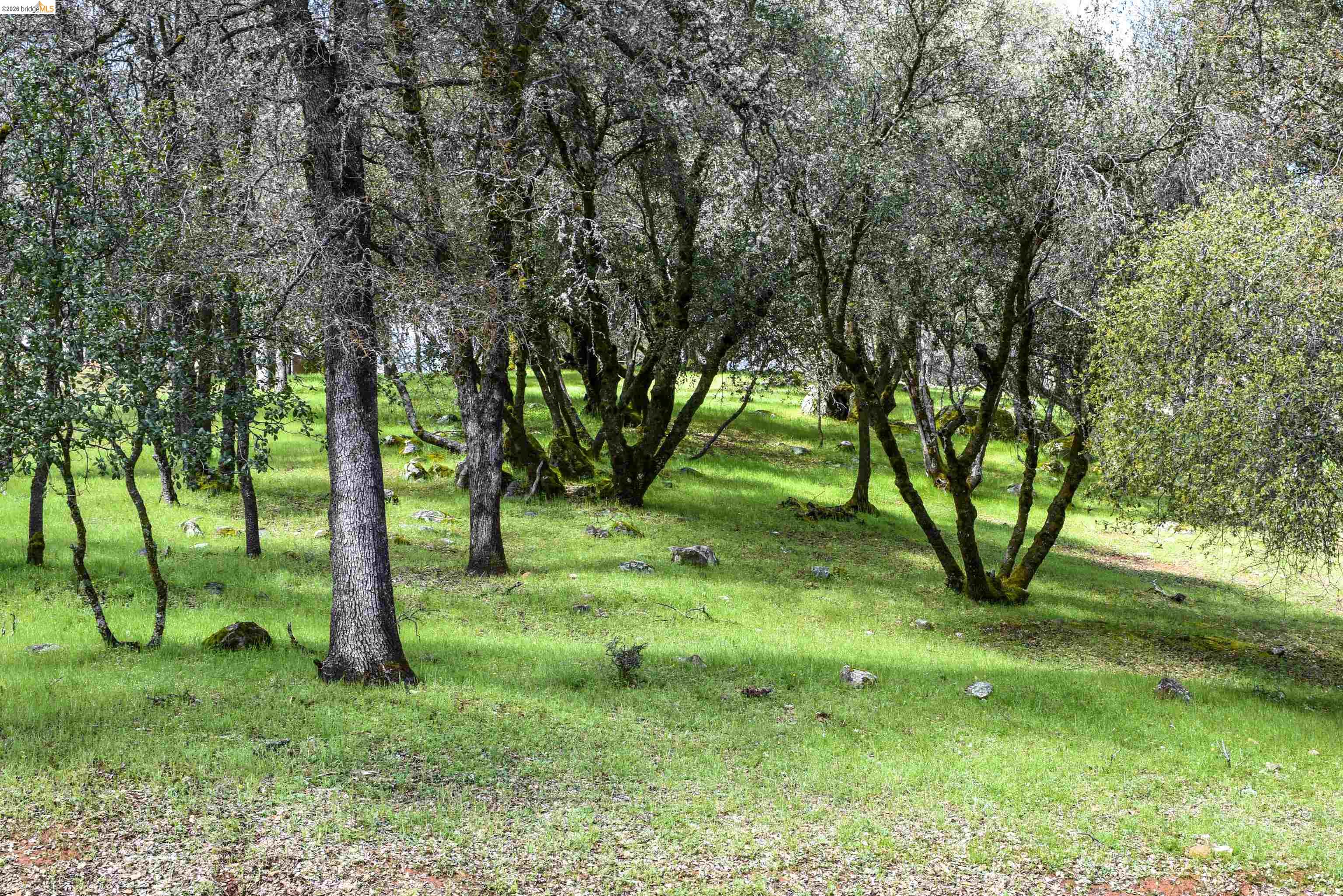 Detail Gallery Image 14 of 15 For 19077 Apple Valley Dr., Sonora,  CA 95370 - – Beds | – Baths