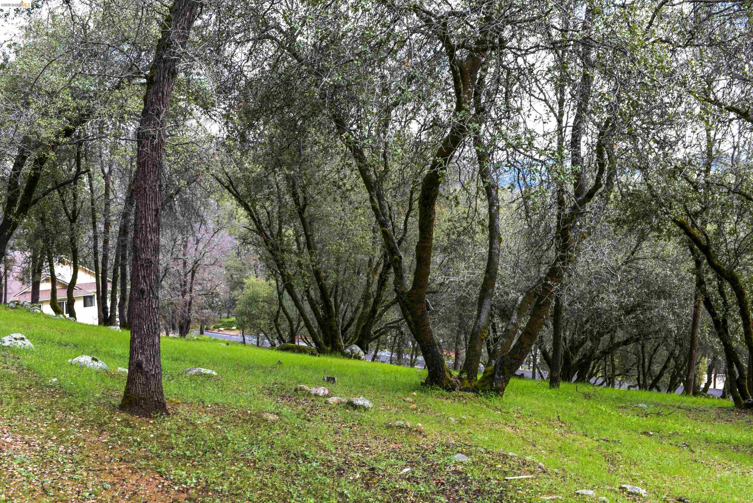 Detail Gallery Image 3 of 15 For 19077 Apple Valley Dr., Sonora,  CA 95370 - – Beds | – Baths