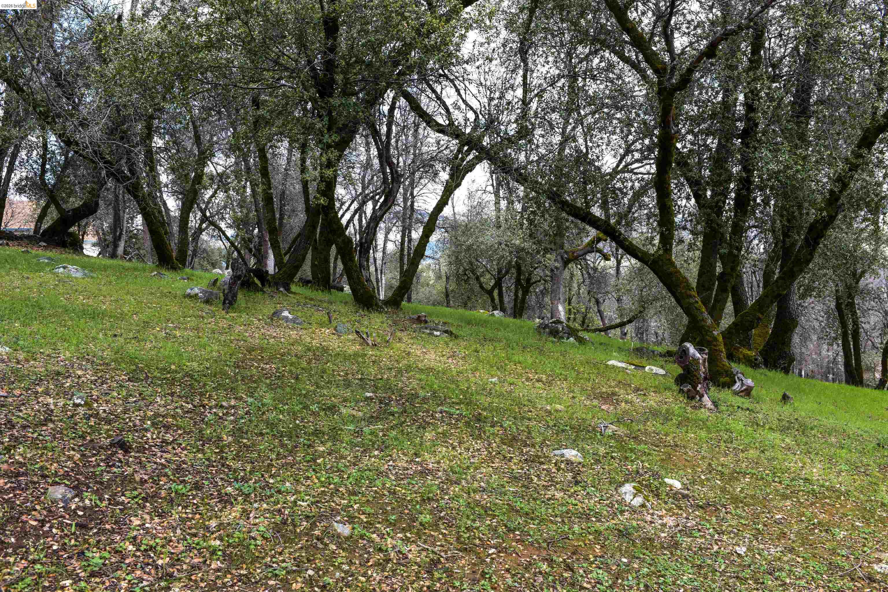 Detail Gallery Image 5 of 15 For 19077 Apple Valley Dr., Sonora,  CA 95370 - – Beds | – Baths