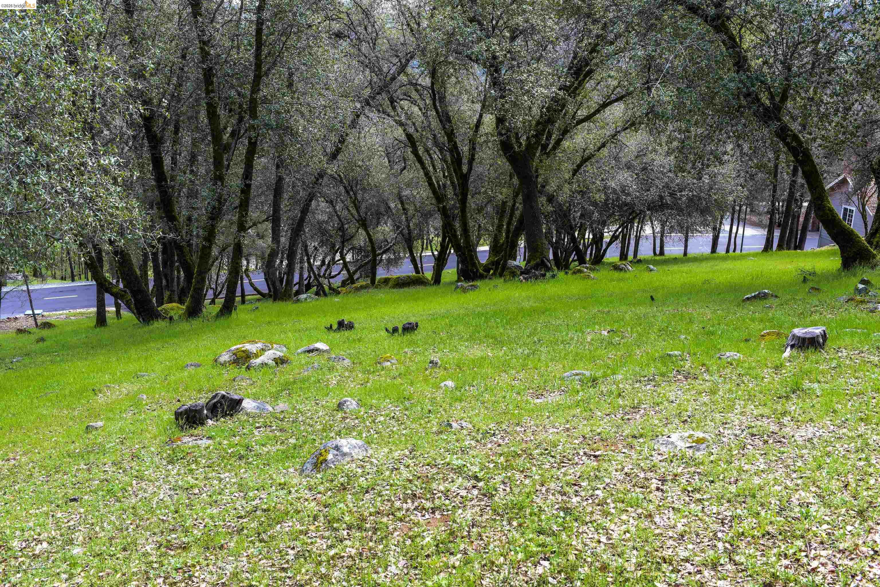 Detail Gallery Image 9 of 15 For 19077 Apple Valley Dr., Sonora,  CA 95370 - – Beds | – Baths