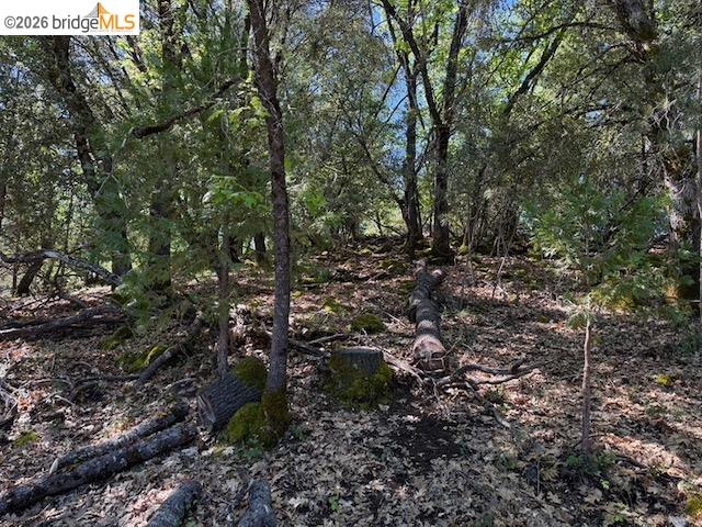 21344 Green Meadow Ln, Sonora, CA, 95370