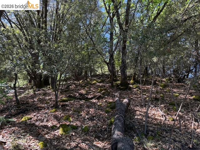 21344 Green Meadow Ln, Sonora, CA, 95370