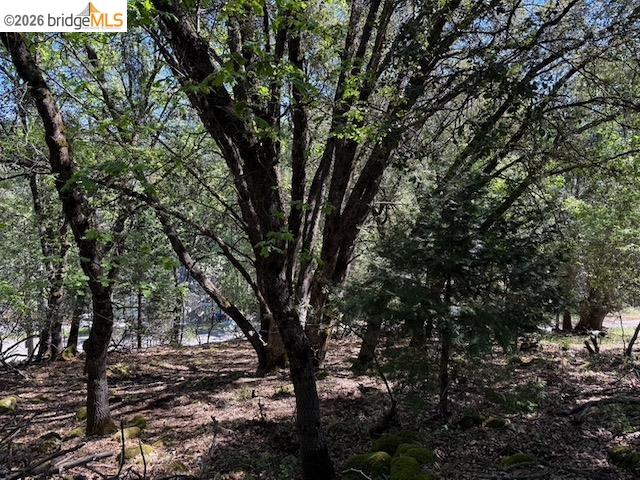 Detail Gallery Image 11 of 12 For 21344 Green Meadow Ln, Sonora,  CA 95370 - – Beds | – Baths