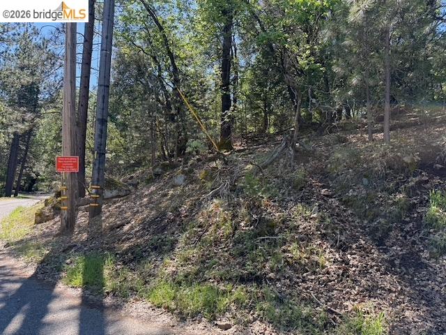 Detail Gallery Image 12 of 12 For 21344 Green Meadow Ln, Sonora,  CA 95370 - – Beds | – Baths