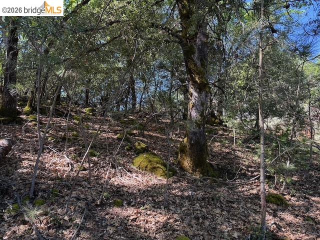 Detail Gallery Image 3 of 12 For 21344 Green Meadow Ln, Sonora,  CA 95370 - – Beds | – Baths