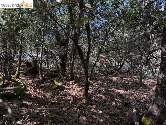 Detail Gallery Image 5 of 12 For 21344 Green Meadow Ln, Sonora,  CA 95370 - – Beds | – Baths