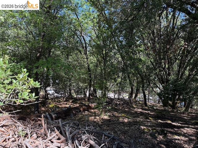 21344 Green Meadow Ln, Sonora, CA, 95370