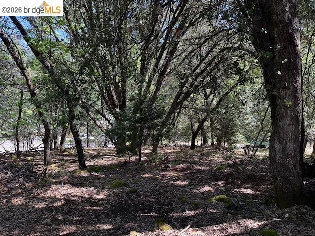 Detail Gallery Image 7 of 12 For 21344 Green Meadow Ln, Sonora,  CA 95370 - – Beds | – Baths