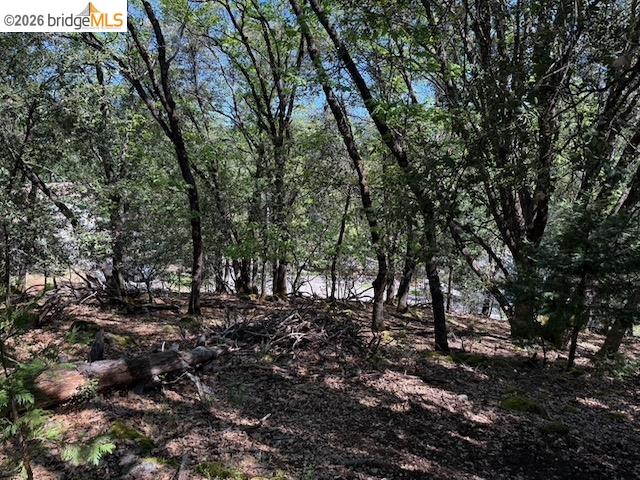 Detail Gallery Image 8 of 12 For 21344 Green Meadow Ln, Sonora,  CA 95370 - – Beds | – Baths