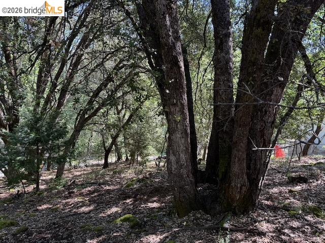 Detail Gallery Image 9 of 12 For 21344 Green Meadow Ln, Sonora,  CA 95370 - – Beds | – Baths